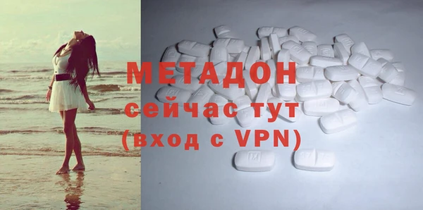 сатива Аркадак