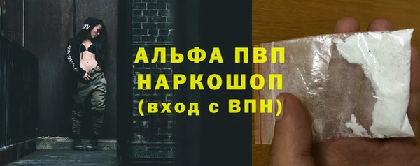 стафф Арсеньев