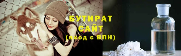 сатива Аркадак
