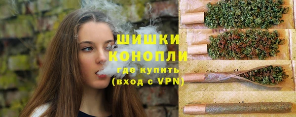 сатива Аркадак