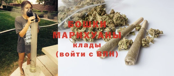 сатива Аркадак