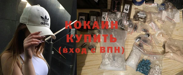 стафф Арсеньев
