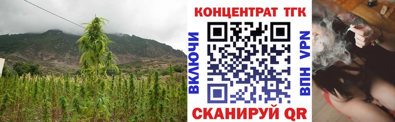 Дистиллят ТГК вейп с тгк  Нижние Серги 